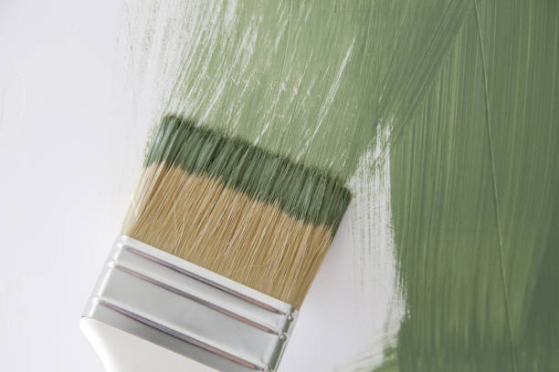 Bar Nunn, WY Mold Removal Company