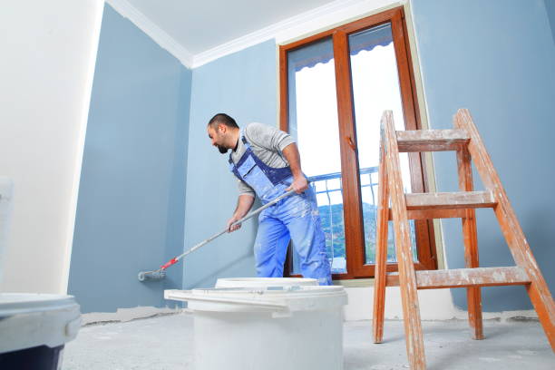 Best Basement Mold Removal  in Bar Nunn, WY