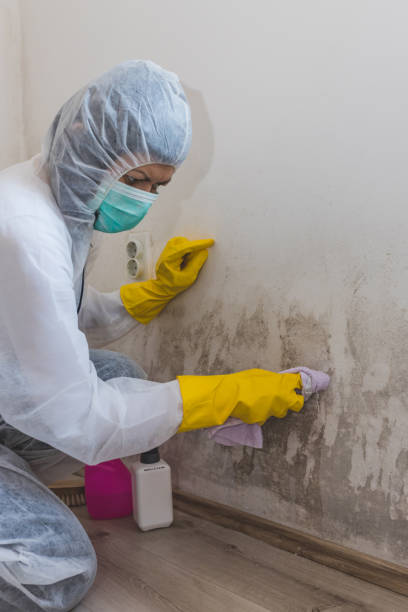Best Emergency Mold Remediation  in Bar Nunn, WY